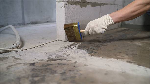 SJ Waterproofing Pros Waterproofing coverage map for Woodridge, IL and surrounding area